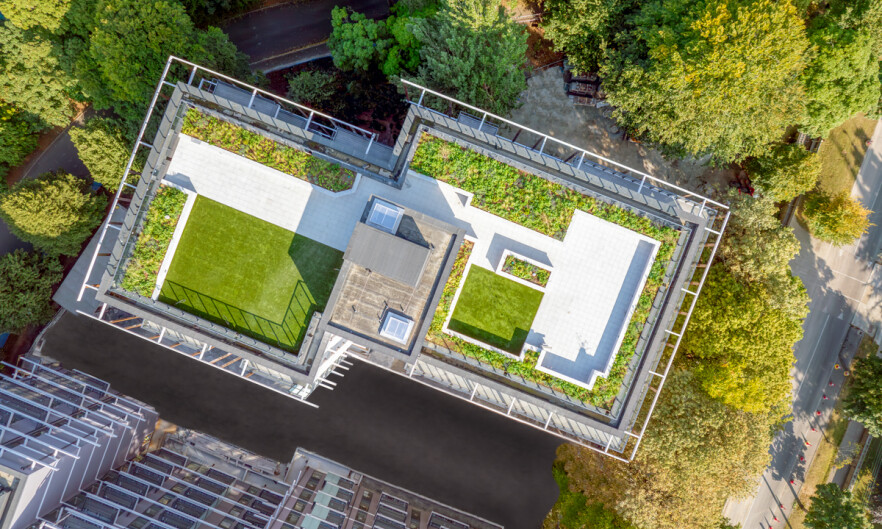 Lioncor Alta Vista Batch 1 Web 10 ScaleMaxWidthWzE4MDBd ScaleMaxHeightWzkyMF0