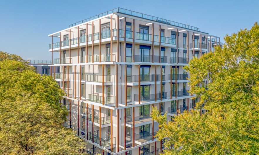 Lioncor Building for Web ScaleMaxWidthWzE4MDBd ScaleMaxHeightWzkyMF0